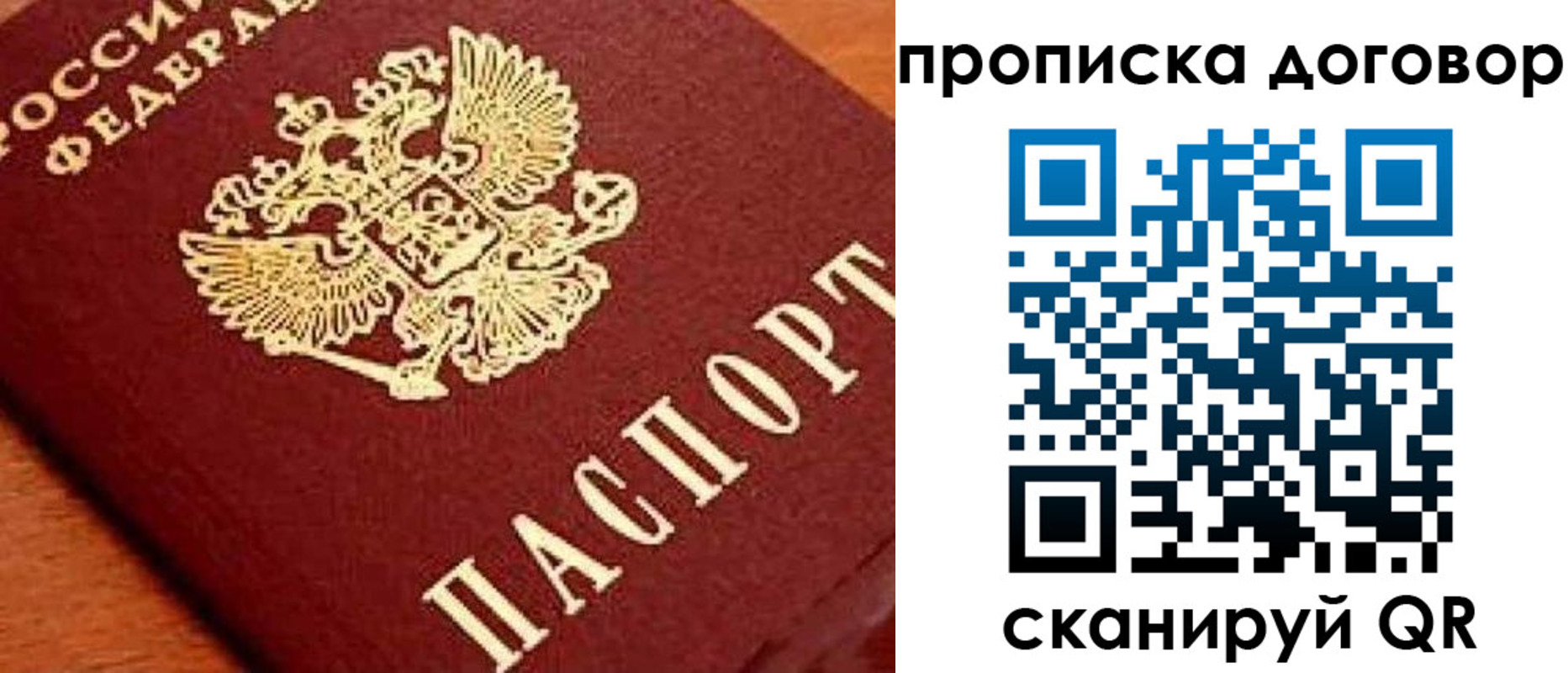 прописка поиск в Королёве